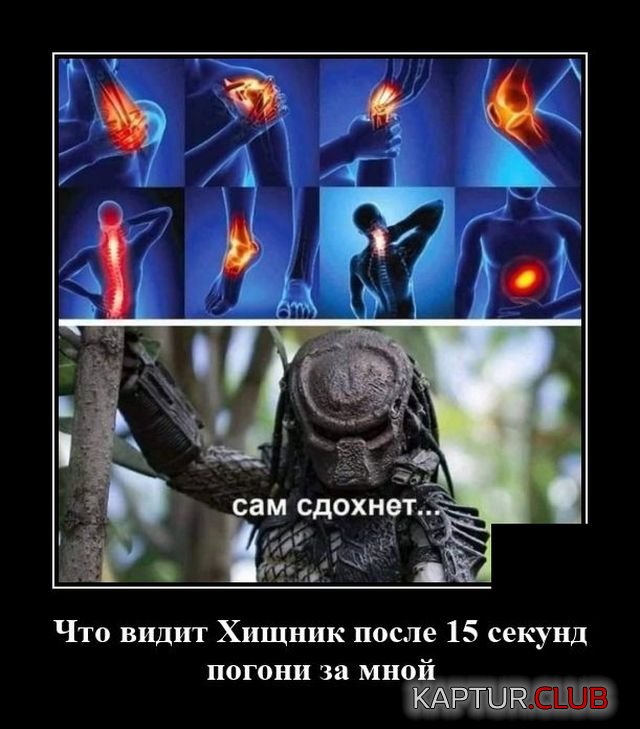 1645450823_demotivatory_20.jpg | Рено Каптур Клуб Россия | Форум KAPTUR.SU