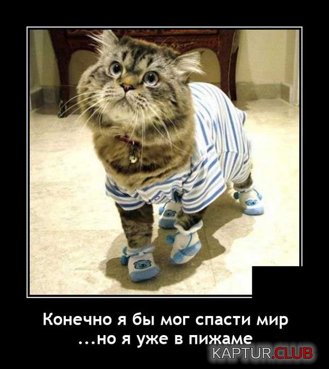 1645450891_demotivatory_03.jpg | Рено Каптур Клуб Россия | Форум KAPTUR.SU