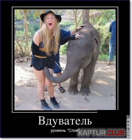 1645478486_1557896974_demos-30.jpg | Рено Каптур Клуб Россия | Форум KAPTUR.SU