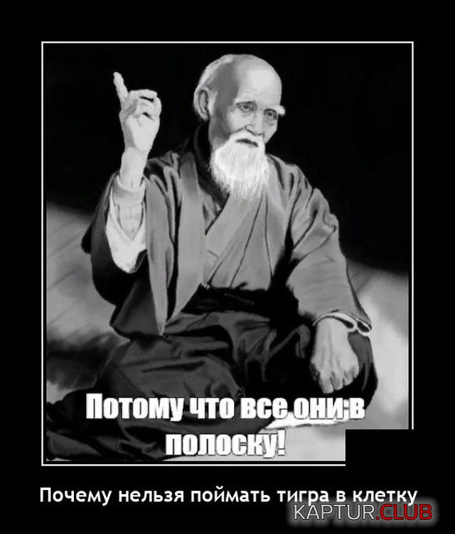 1645537384_demotivatory_07.jpg | Рено Каптур Клуб Россия | Форум KAPTUR.SU