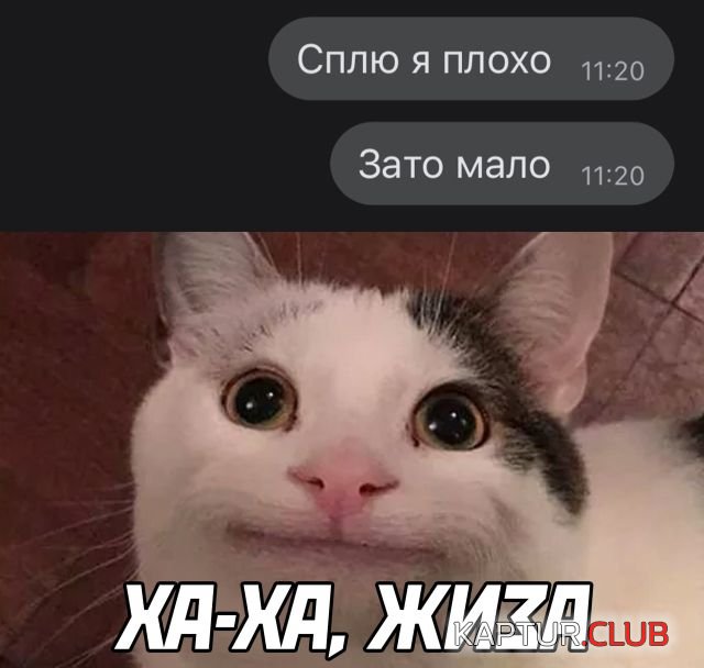 1645544576_podb_30.jpg | Рено Каптур Клуб Россия | Форум KAPTUR.SU
