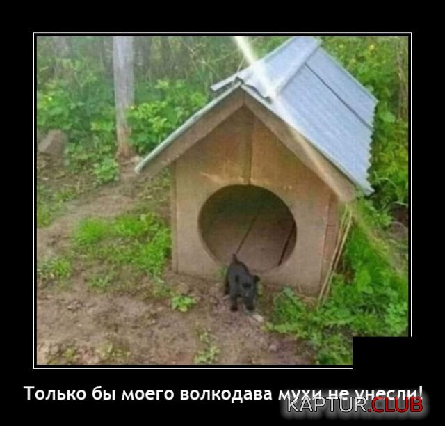 1646054618_demotivatory_18.jpg | Рено Каптур Клуб Россия | Форум KAPTUR.SU