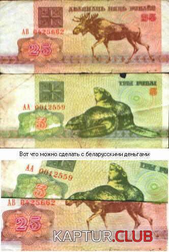 1647.JPG | Рено Каптур Клуб Россия | Форум KAPTUR.SU