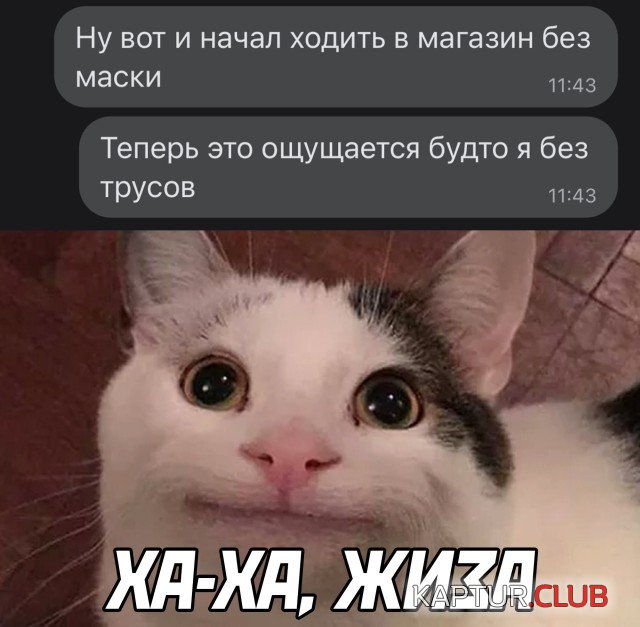 1647960538_podb_13.jpg | Рено Каптур Клуб Россия | Форум KAPTUR.SU