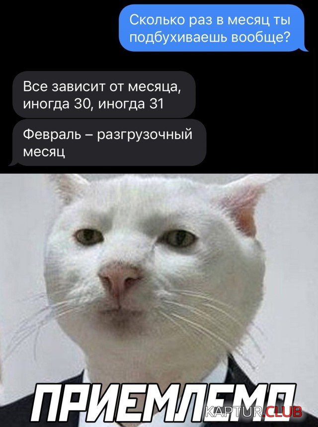 1647960572_podb_12.jpg | Рено Каптур Клуб Россия | Форум KAPTUR.SU