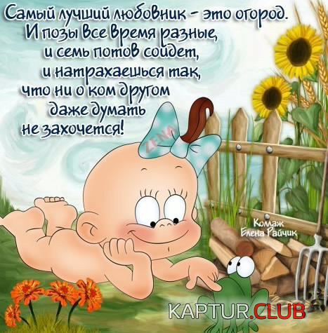 164889238.p.500.500.0.jpg | Рено Каптур Клуб Россия | Форум KAPTUR.SU