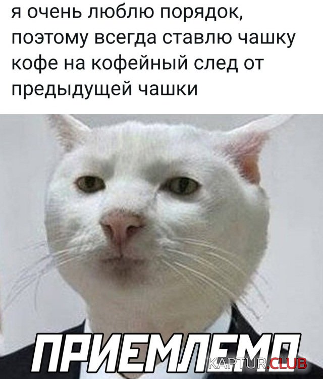 1650198329_1649171997_podb_30.jpg | Рено Каптур Клуб Россия | Форум KAPTUR.SU