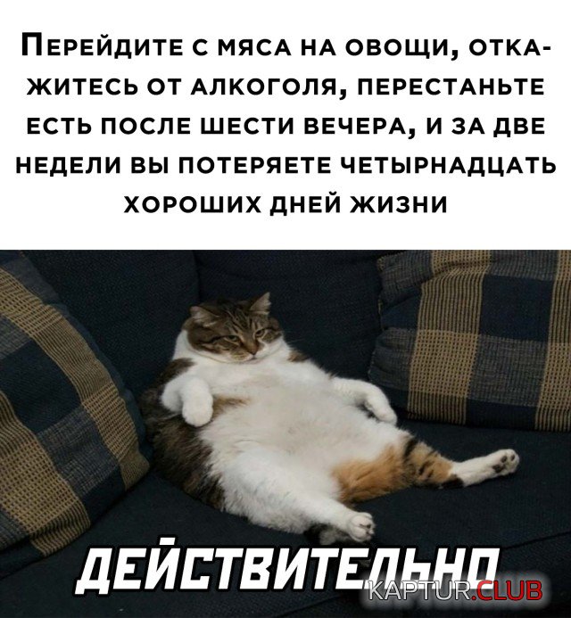 1651673324_podb_30.jpg | Рено Каптур Клуб Россия | Форум KAPTUR.SU