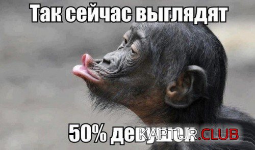 165176211.p.500.500.0.jpg | Рено Каптур Клуб Россия | Форум KAPTUR.SU