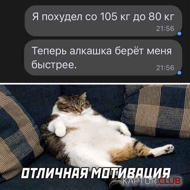 1652864237_1651848020_podb_04.jpg | Рено Каптур Клуб Россия | Форум KAPTUR.SU