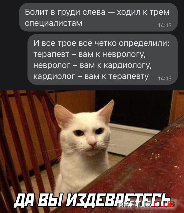1653297207_1652372613_podb_30.jpg | Рено Каптур Клуб Россия | Форум KAPTUR.SU