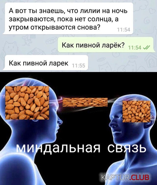 1653317129_podb_01.jpg | Рено Каптур Клуб Россия | Форум KAPTUR.SU