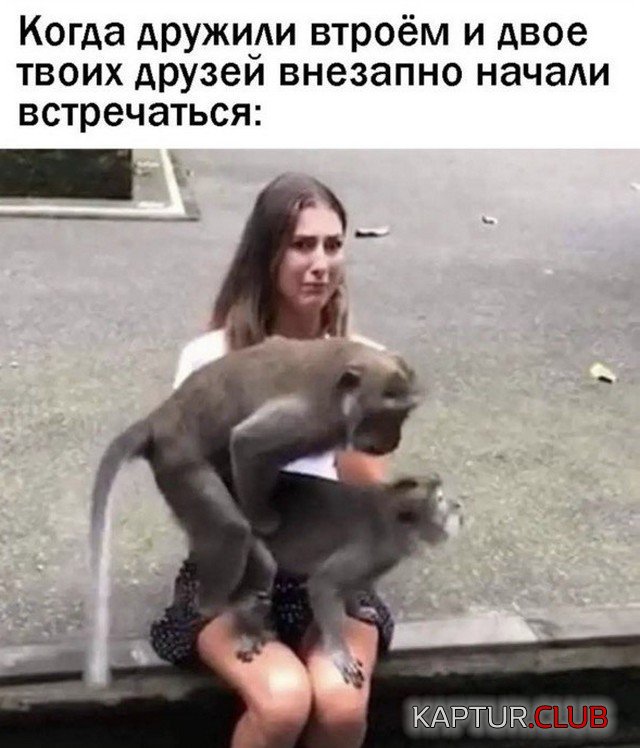 1655366264_228125_6_trinixy_ru.jpg | Рено Каптур Клуб Россия | Форум KAPTUR.SU
