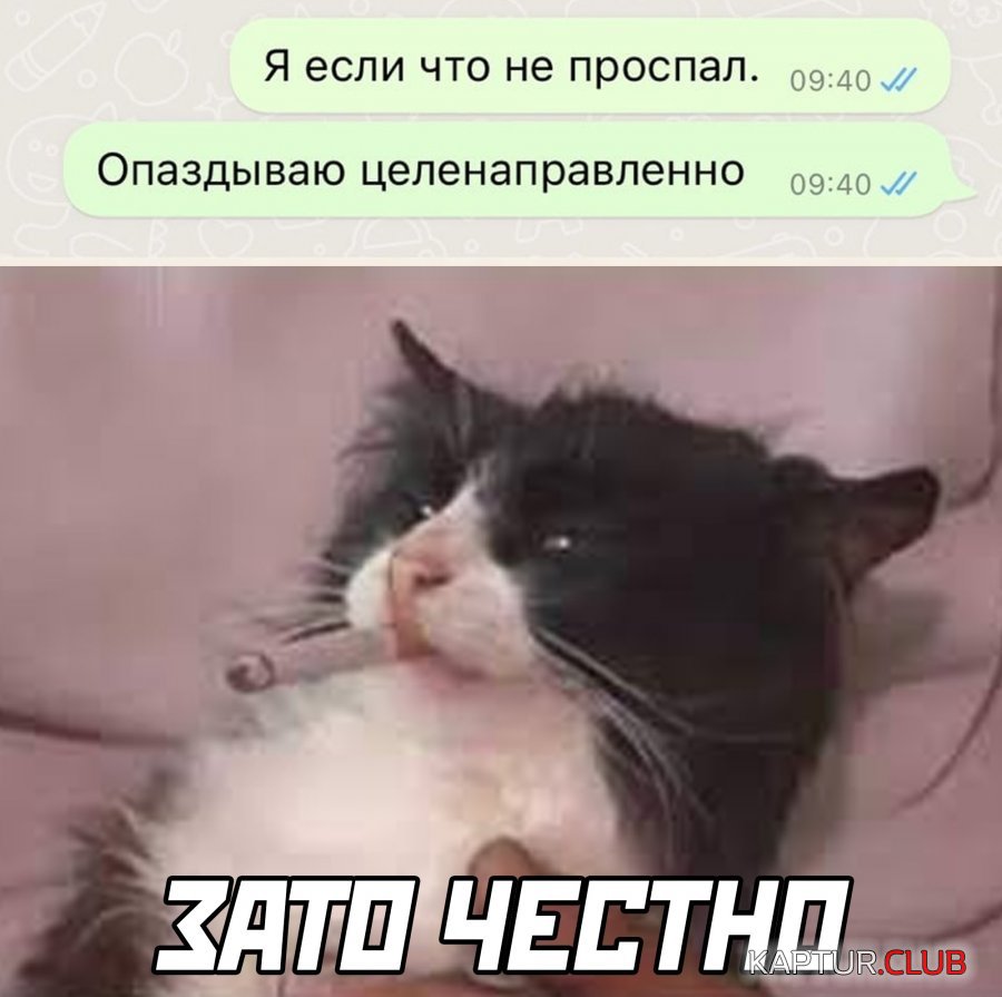 1657618501_29.jpg | Рено Каптур Клуб Россия | Форум KAPTUR.SU
