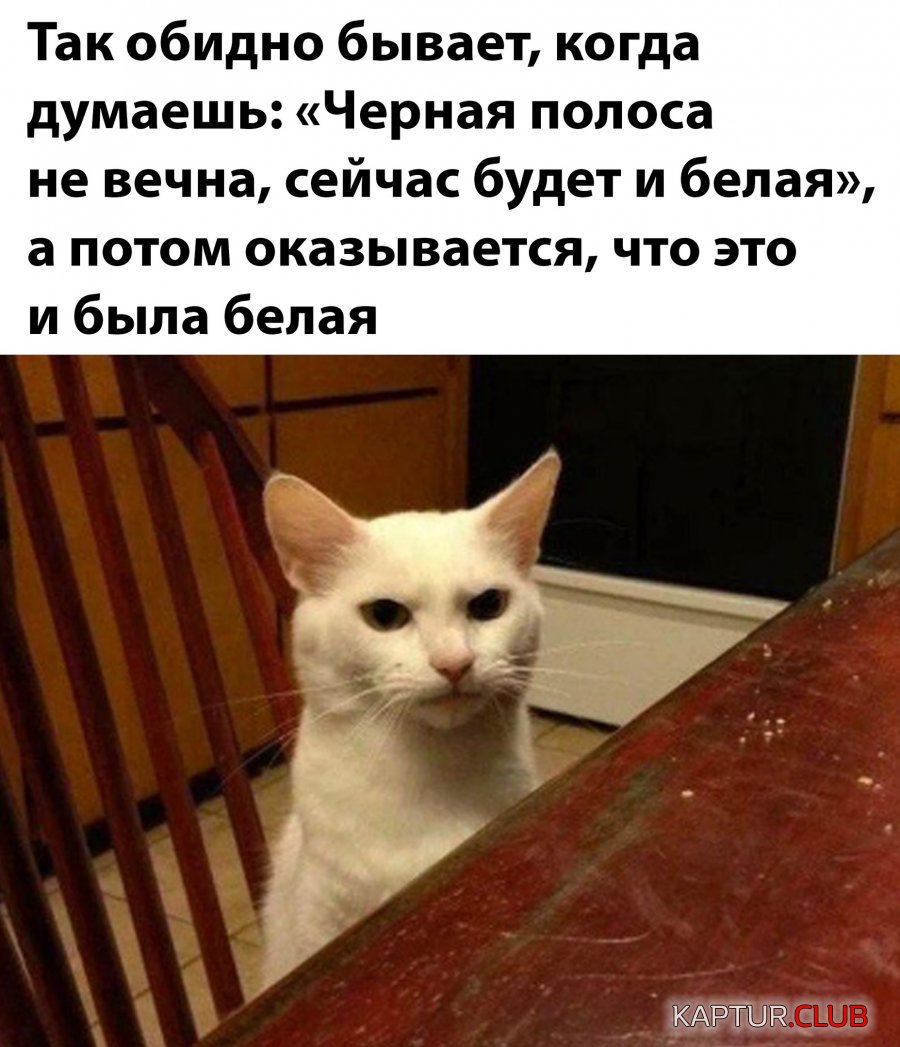 1658312460_29.jpg | Рено Каптур Клуб Россия | Форум KAPTUR.SU