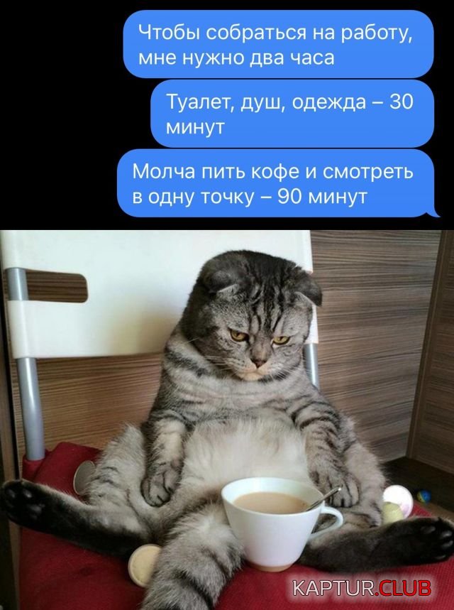 1659344471_30.jpg | Рено Каптур Клуб Россия | Форум KAPTUR.SU