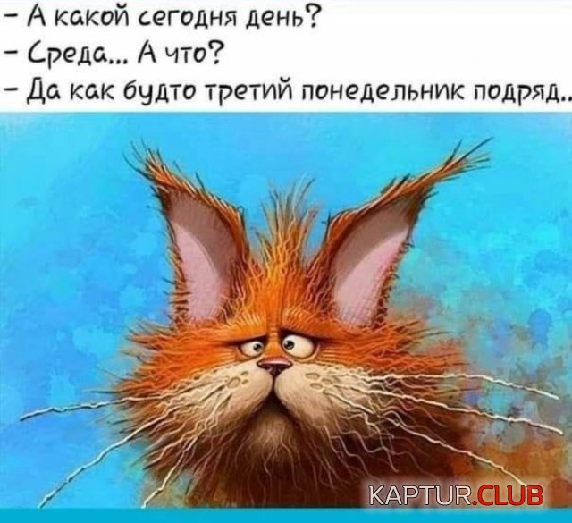 1661848977_230551_1_trinixy_ru.jpg | Рено Каптур Клуб Россия | Форум KAPTUR.SU