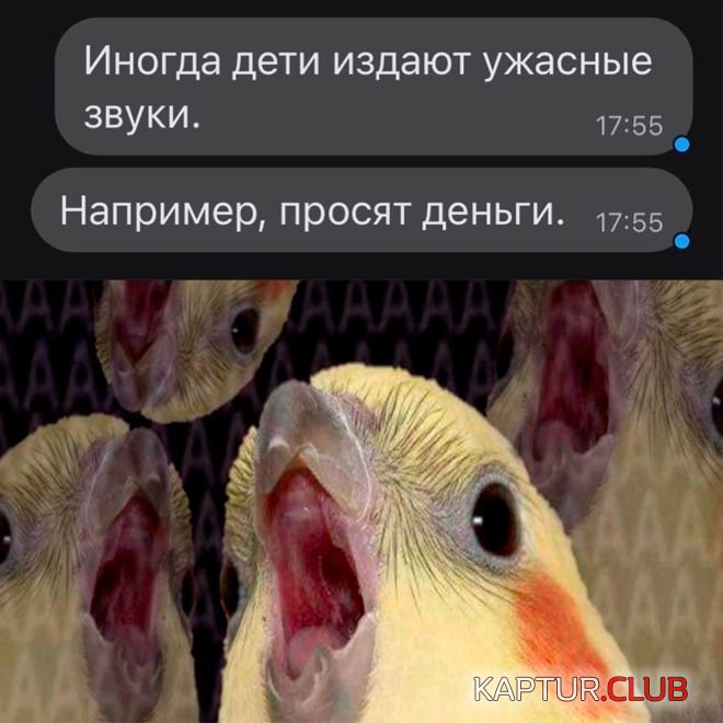 1661853242_1660822655_30.jpg | Рено Каптур Клуб Россия | Форум KAPTUR.SU