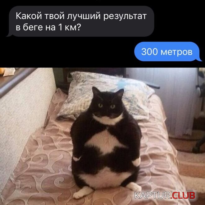 1662106282_30.jpg | Рено Каптур Клуб Россия | Форум KAPTUR.SU