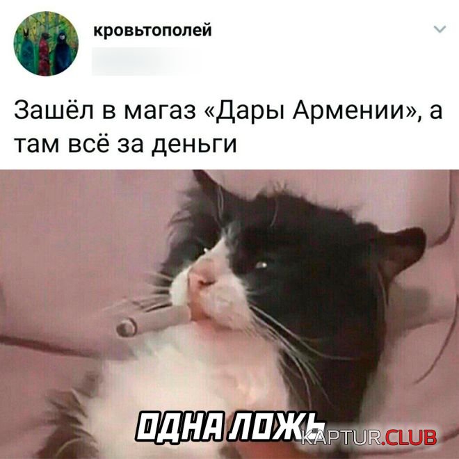 1662537945_30.jpg | Рено Каптур Клуб Россия | Форум KAPTUR.SU