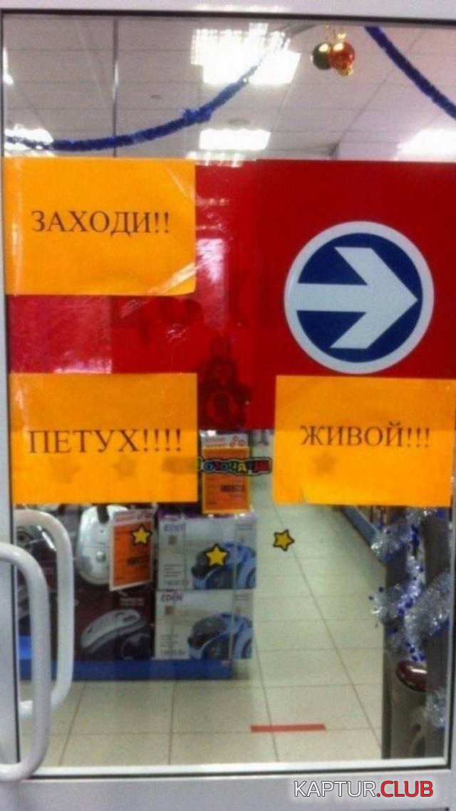 1663235954_231234_10_trinixy_ru.jpg | Рено Каптур Клуб Россия | Форум KAPTUR.SU
