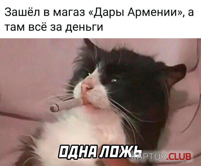 1663236226_1662537945_30.jpg | Рено Каптур Клуб Россия | Форум KAPTUR.SU