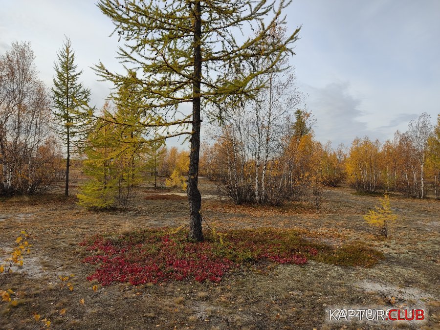 1663338955456.jpg | Рено Каптур Клуб Россия | Форум KAPTUR.SU