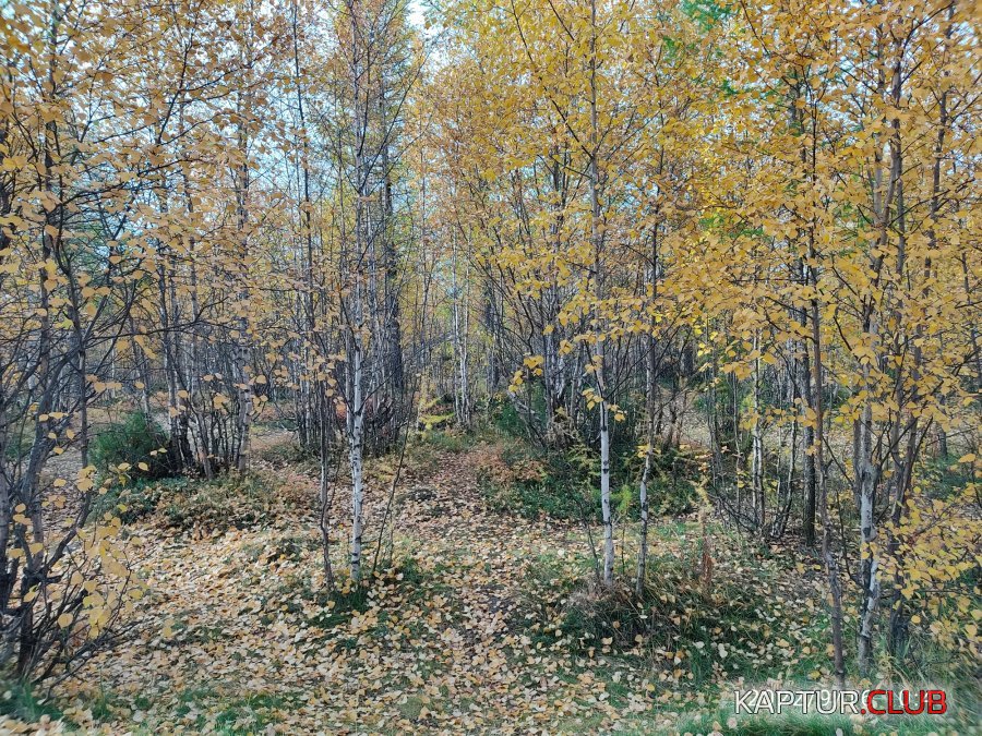 1663338955470.jpg | Рено Каптур Клуб Россия | Форум KAPTUR.SU