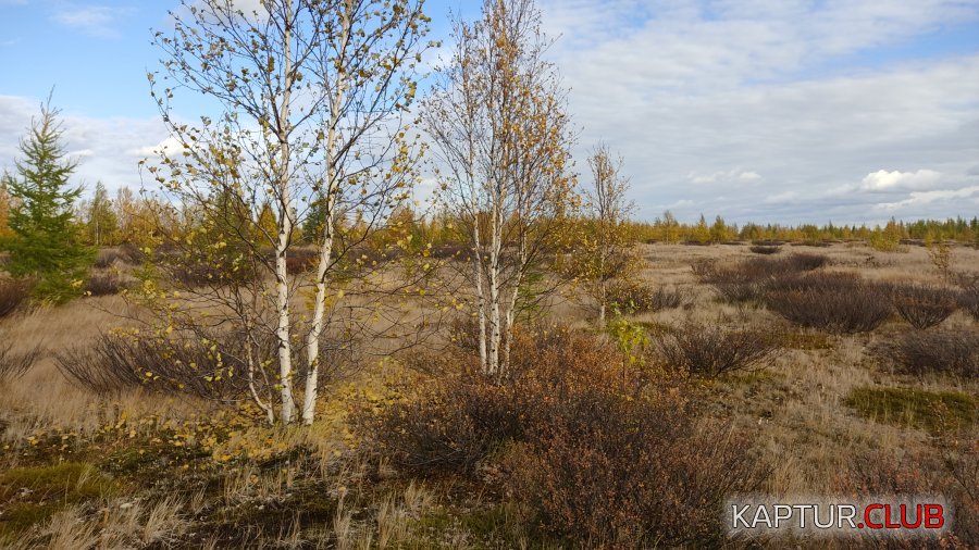 1663339024690.jpeg | Рено Каптур Клуб Россия | Форум KAPTUR.SU