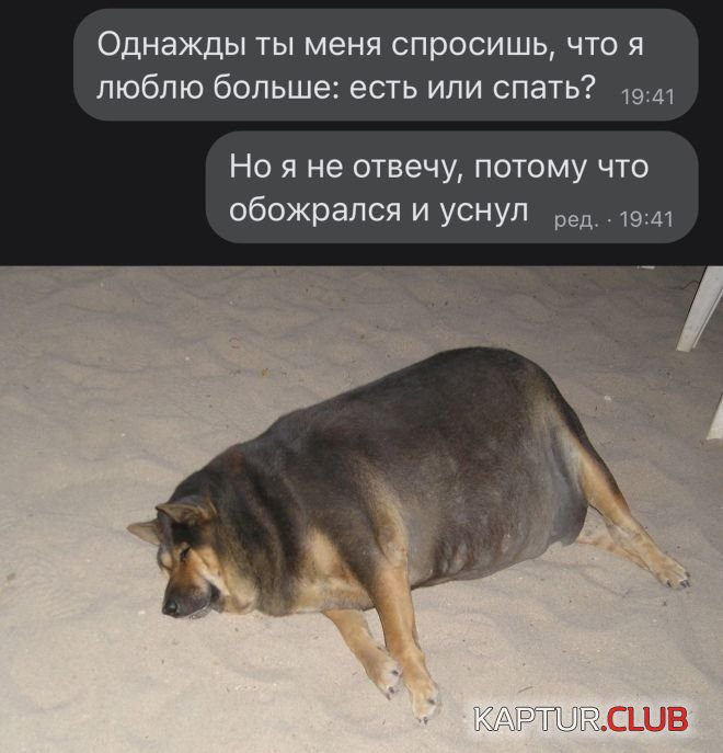 1663579853_30.jpg | Рено Каптур Клуб Россия | Форум KAPTUR.SU