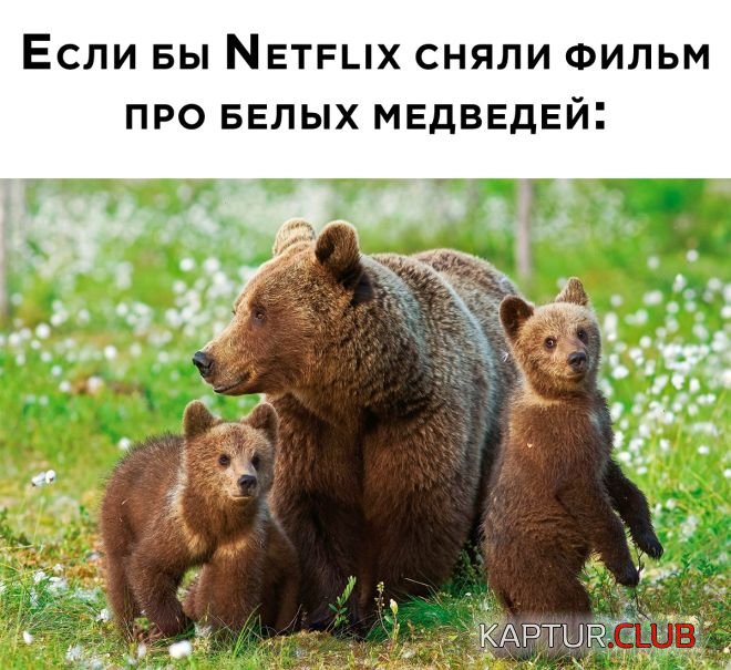 1663668156_30.jpg | Рено Каптур Клуб Россия | Форум KAPTUR.SU