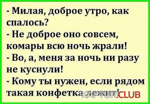 166536156.p.500.500.0.jpg | Рено Каптур Клуб Россия | Форум KAPTUR.SU
