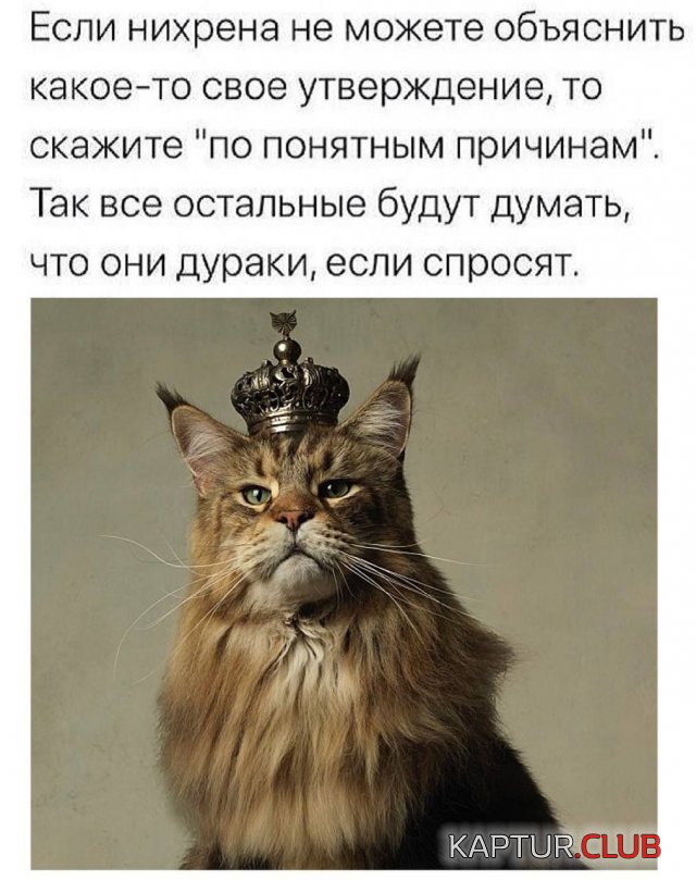 1667283686_232584_12_trinixy_ru.jpg | Рено Каптур Клуб Россия | Форум KAPTUR.SU
