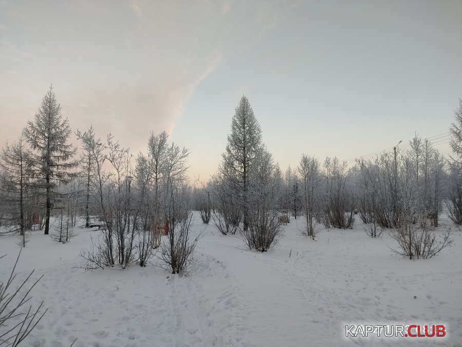 1667476579337.jpg | Рено Каптур Клуб Россия | Форум KAPTUR.SU