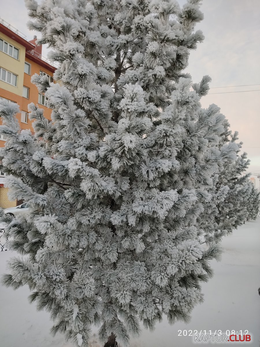 1667476605542.jpg | Рено Каптур Клуб Россия | Форум KAPTUR.SU