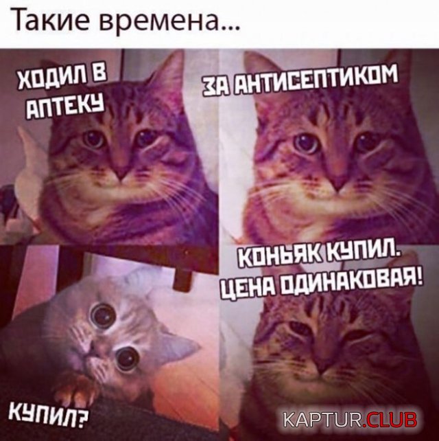 1668848216_233067_1_trinixy_ru.jpg | Рено Каптур Клуб Россия | Форум KAPTUR.SU