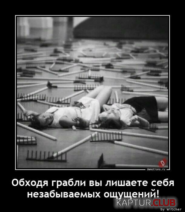 1669104646_1667807941_demki-2.jpg | Рено Каптур Клуб Россия | Форум KAPTUR.SU
