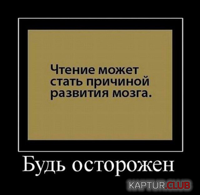 1669544427_1668766314_demki-10.jpg | Рено Каптур Клуб Россия | Форум KAPTUR.SU