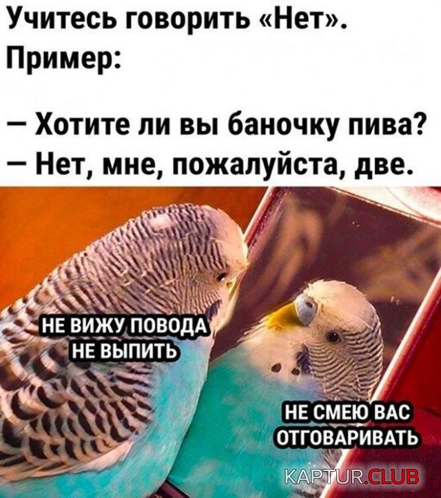 1669545526_233478_1_trinixy_ru.jpg | Рено Каптур Клуб Россия | Форум KAPTUR.SU