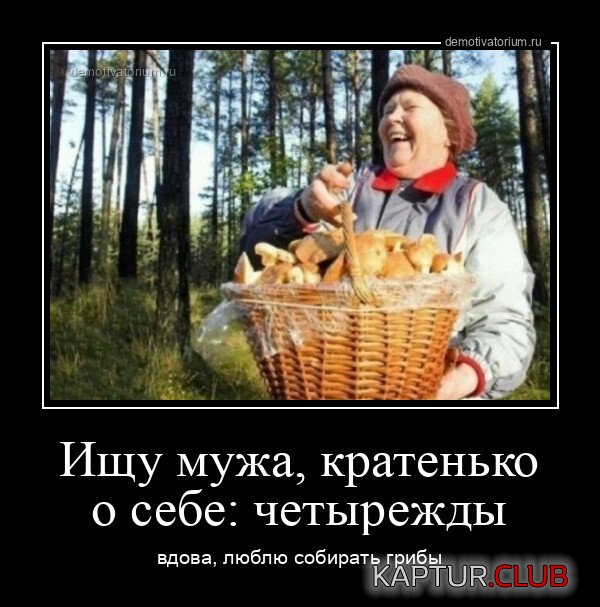 1670491773_1669280730_demotivatory-5.jpg | Рено Каптур Клуб Россия | Форум KAPTUR.SU