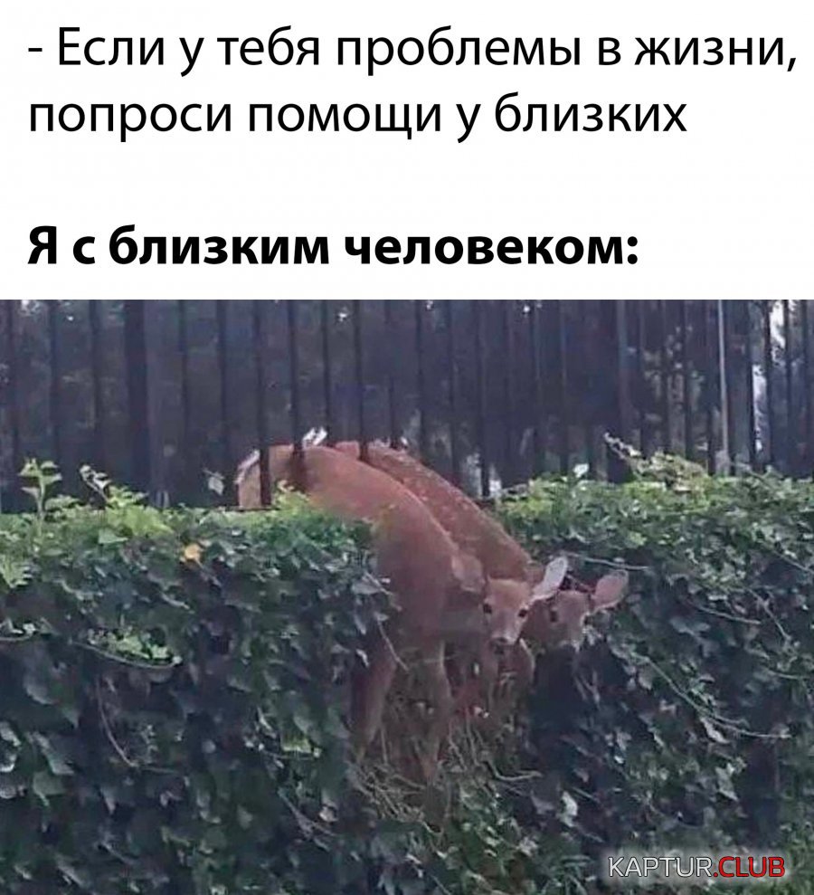1670581071_29.jpg | Рено Каптур Клуб Россия | Форум KAPTUR.SU