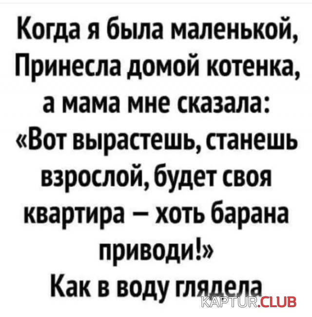 1670922156_233857_7_trinixy_ru.jpg | Рено Каптур Клуб Россия | Форум KAPTUR.SU