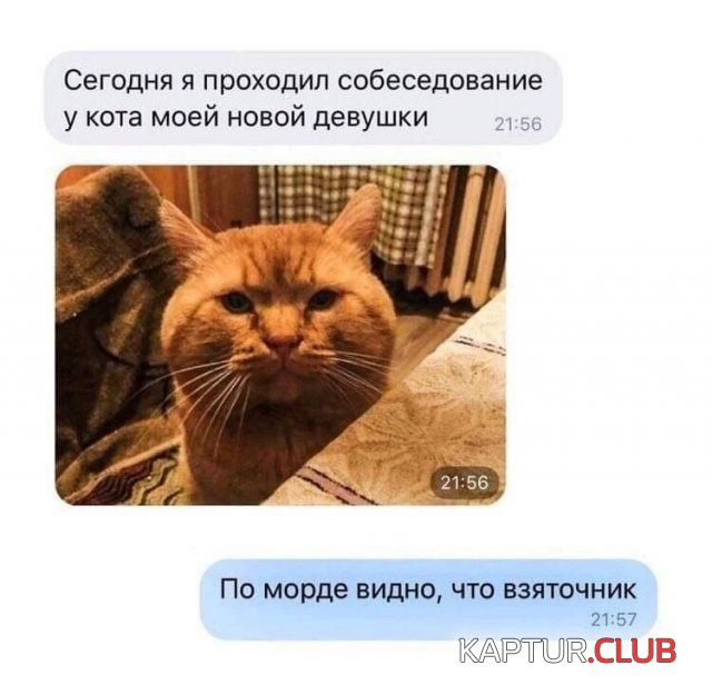 1671358330_233899_3_trinixy_ru.jpg | Рено Каптур Клуб Россия | Форум KAPTUR.SU