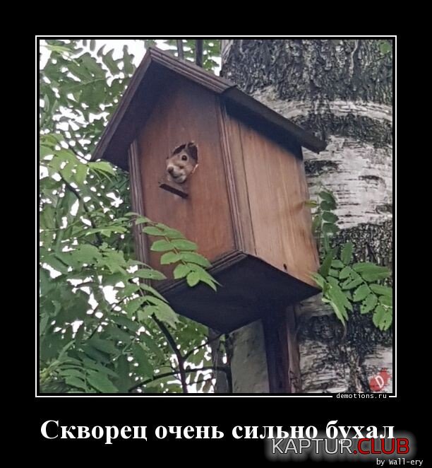 1671358396_1669799052_demki-14.jpg | Рено Каптур Клуб Россия | Форум KAPTUR.SU