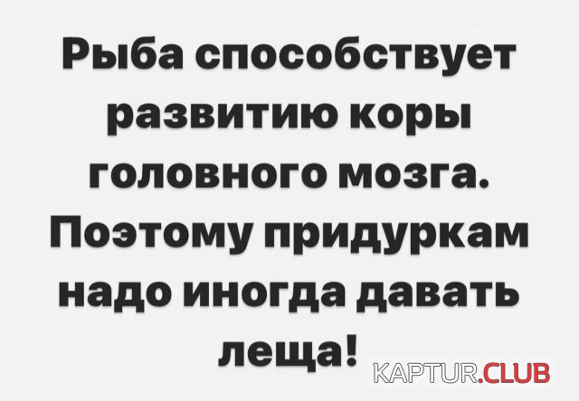1671617155_234017_5_trinixy_ru.jpg | Рено Каптур Клуб Россия | Форум KAPTUR.SU