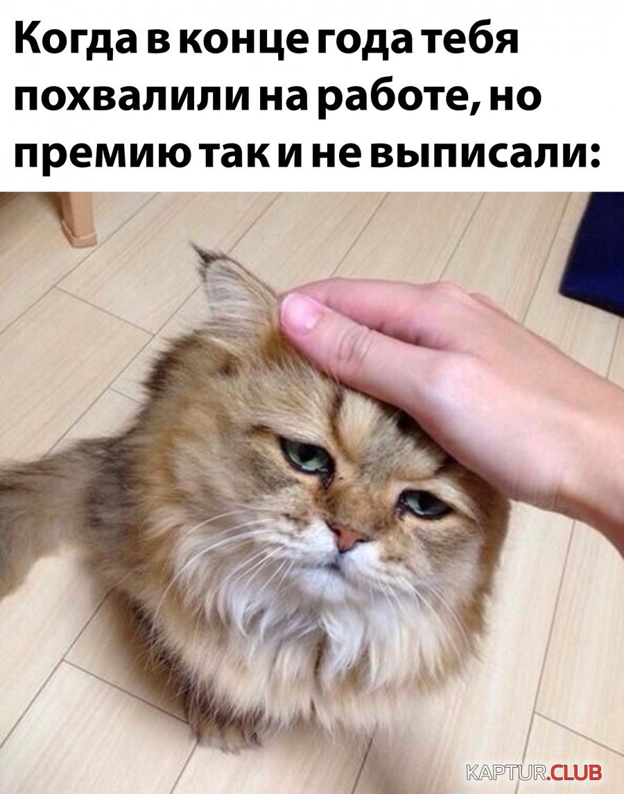 1672310683_29.jpg | Рено Каптур Клуб Россия | Форум KAPTUR.SU