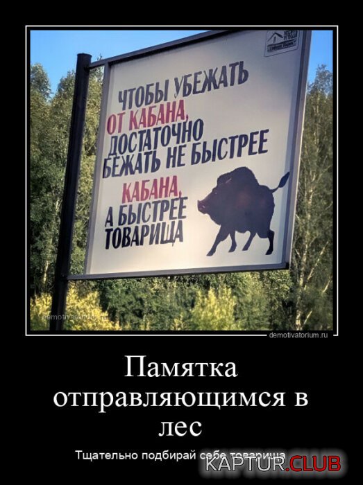 1673083346_1671440477_demki-2.jpg | Рено Каптур Клуб Россия | Форум KAPTUR.SU