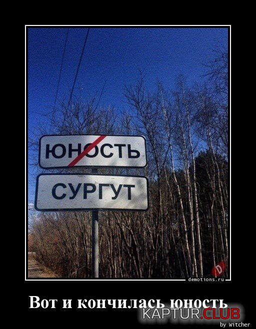 1673083381_1671440479_demki-13.jpg | Рено Каптур Клуб Россия | Форум KAPTUR.SU