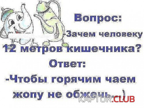 167428973.p.500.500.0.jpg | Рено Каптур Клуб Россия | Форум KAPTUR.SU