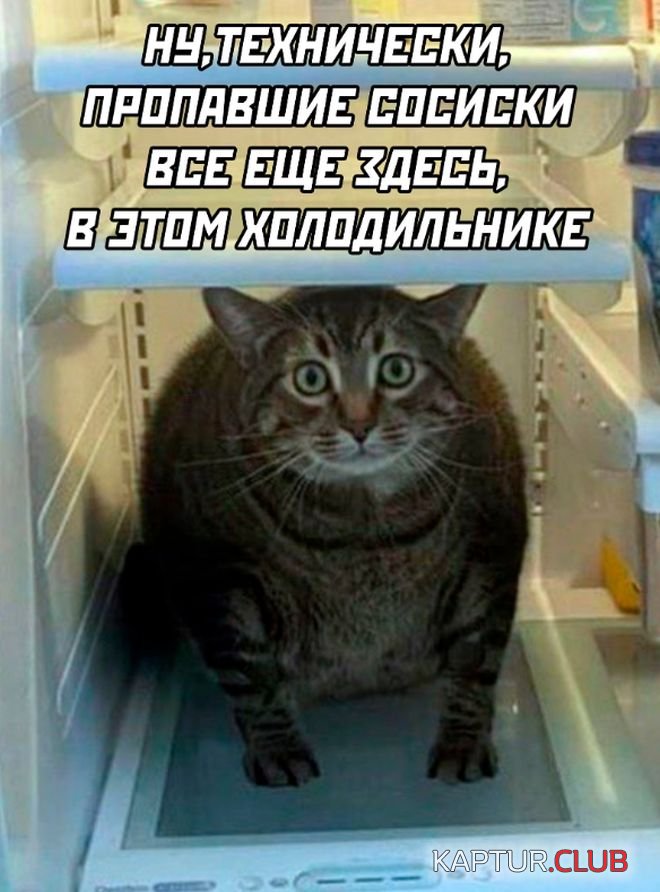 1675243976_30.jpg | Рено Каптур Клуб Россия | Форум KAPTUR.SU